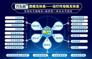 探索深圳植發補發技術 高清圖片揭示效果，北京科發源的投資管理視角